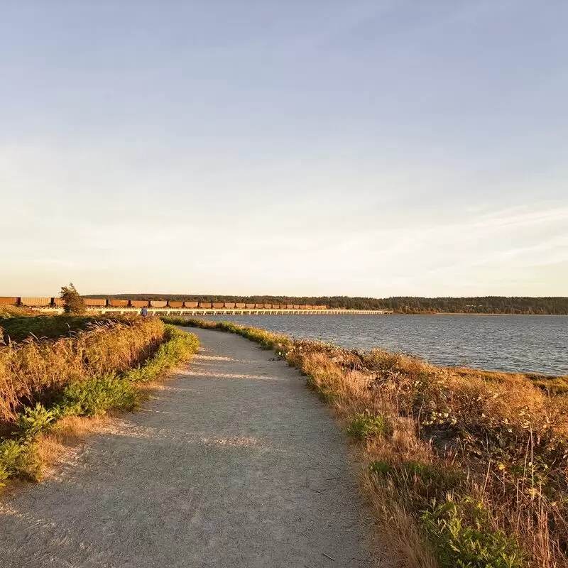 Mud Bay Park