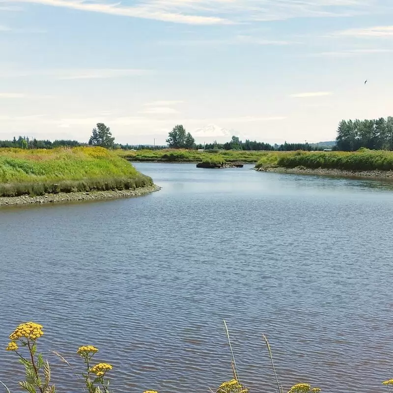 Serpentine Fen