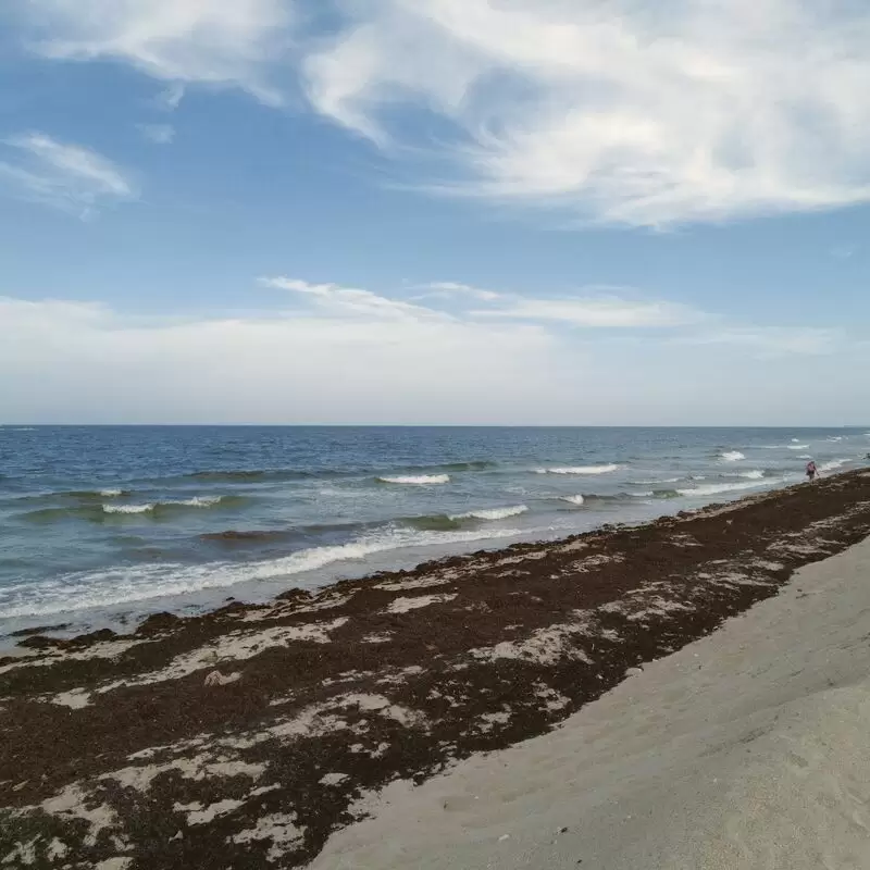 Dr. Von D. Mizell Eula Johnson State Park