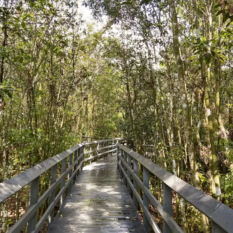 Fern Forest Nature Center