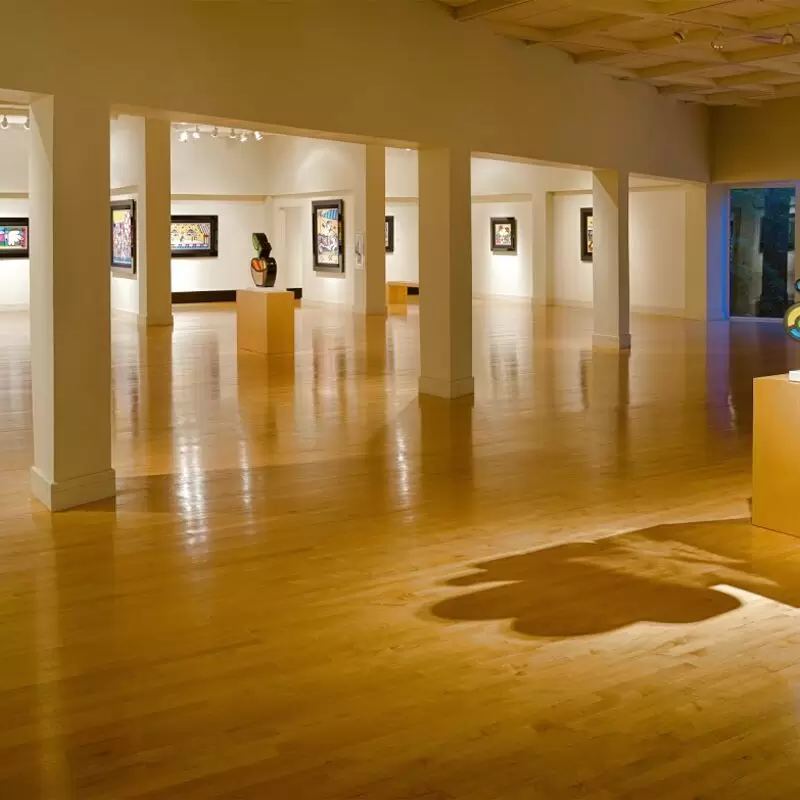 Coral Springs Museum of Art