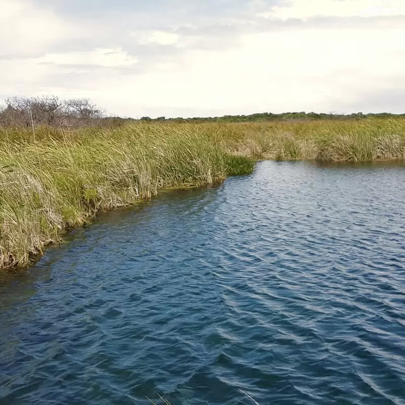 Piccaninnie Ponds Conservation Park