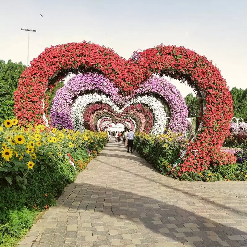 Dubai Miracle Garden