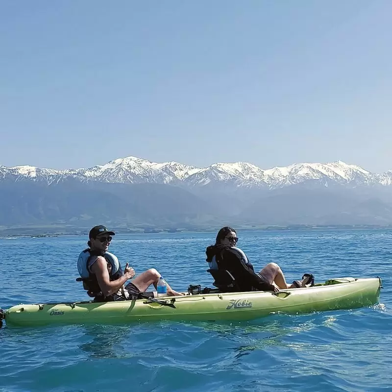 Seal Kayak Kaikoura