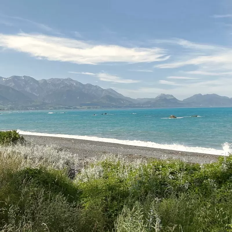 Kaikoura Beach