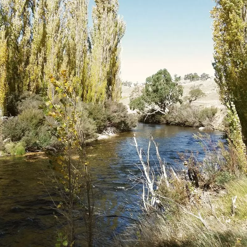 Gaden Trout Hatchery