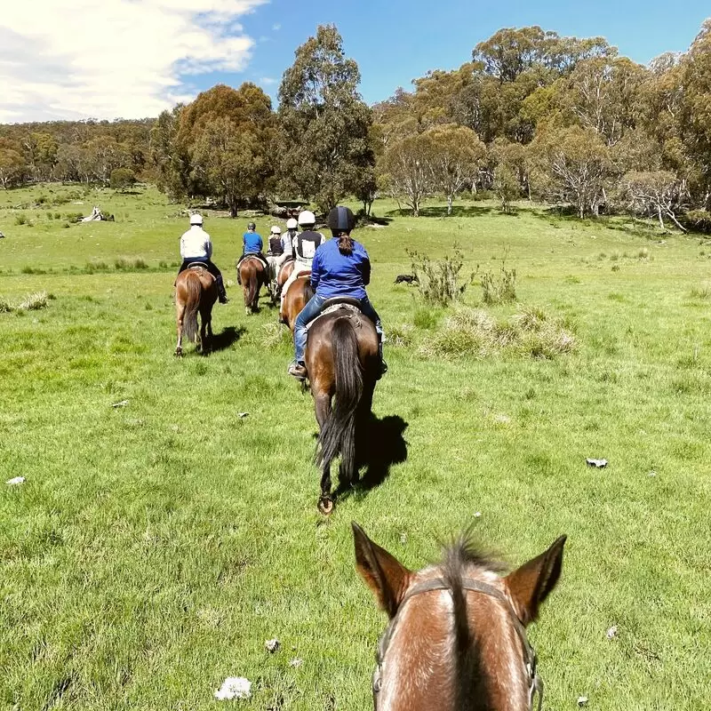 Pender Lea Thredbo Valley Horse Risding