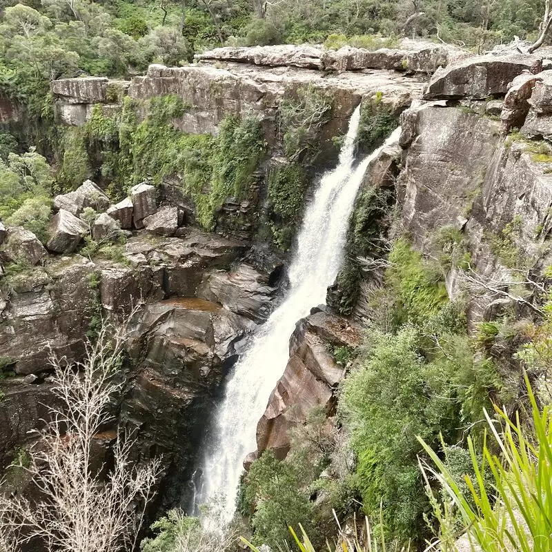 Carrington Falls