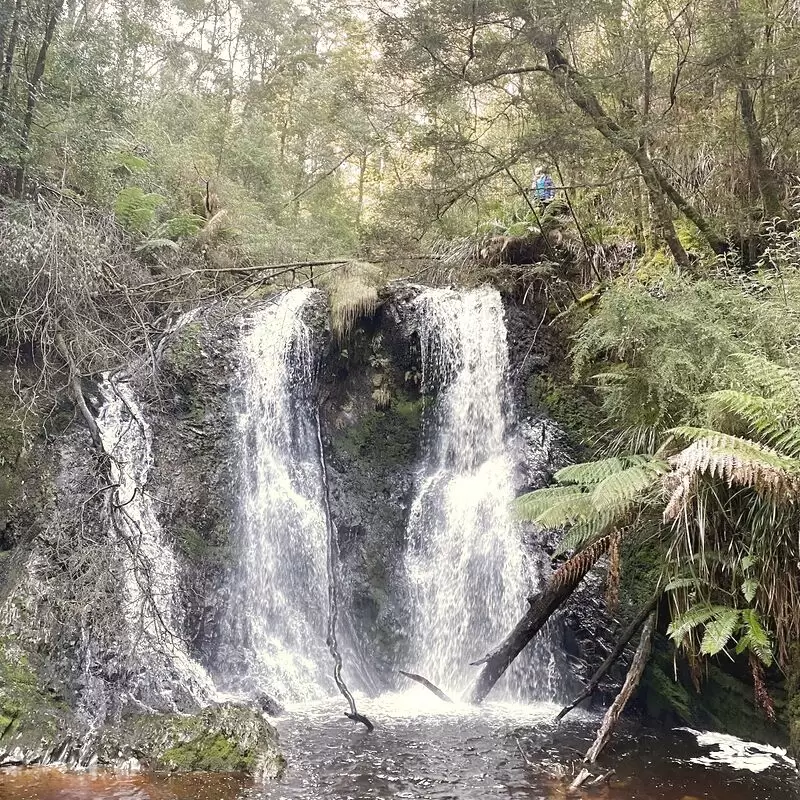 Hogarth Falls