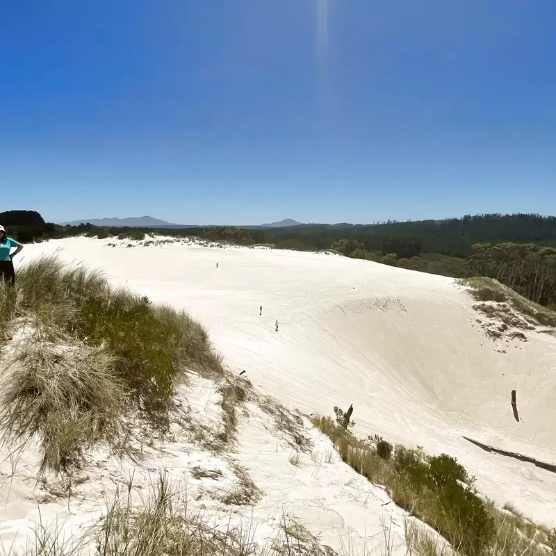 Henty Dunes