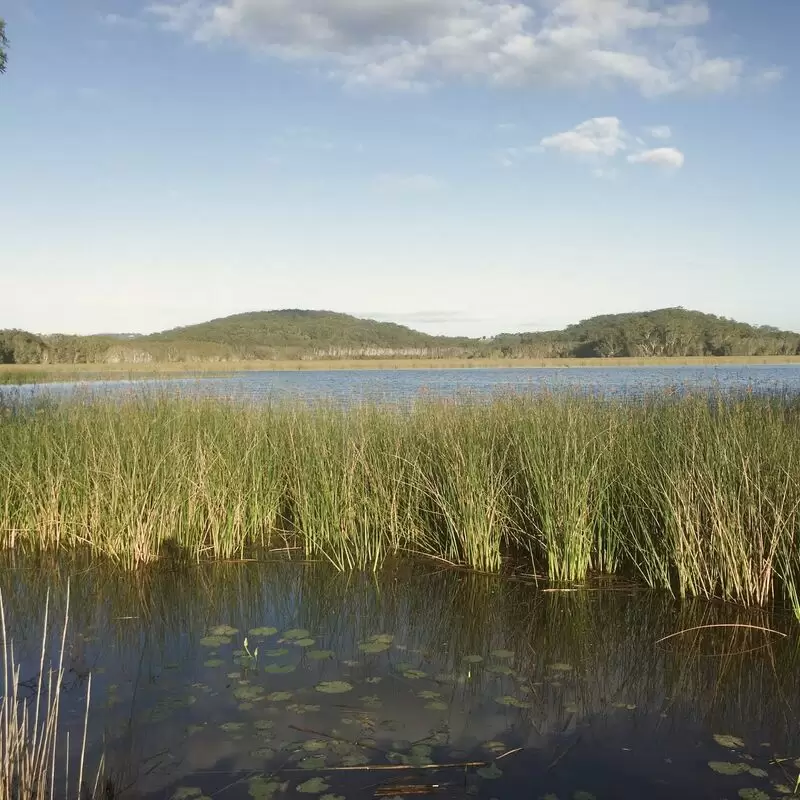 Cudgen Nature Reserve