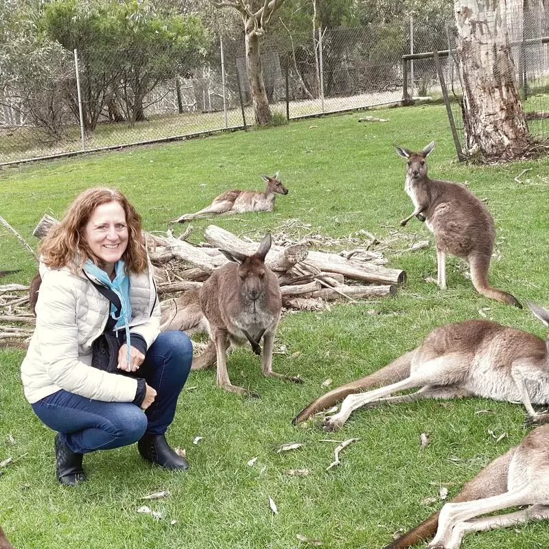 Cleland Wildlife Park