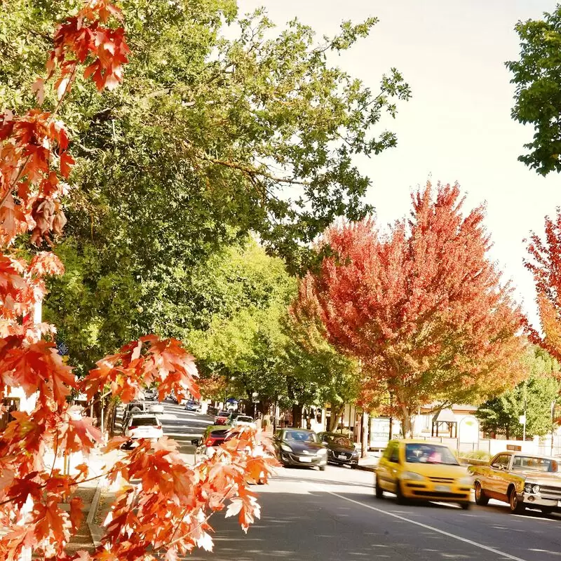 Hahndorf Village