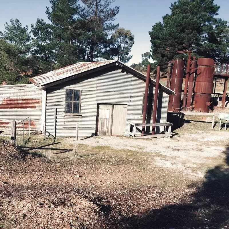 Forest Creek Historic Gold Diggings