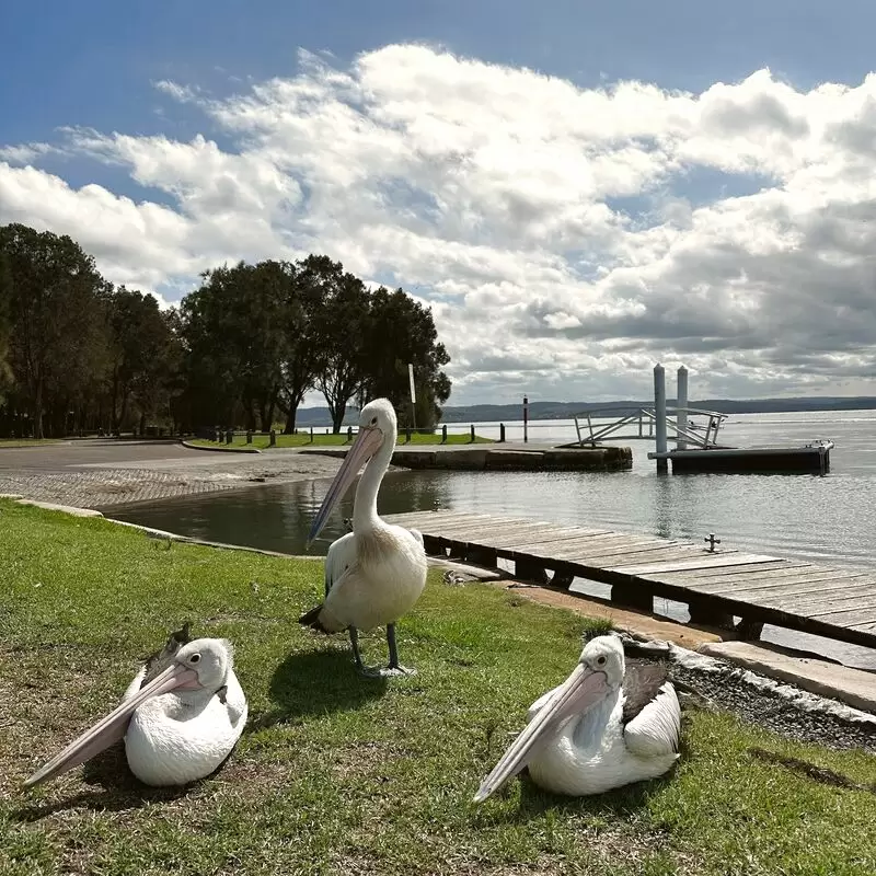 Picnic Point Reserve