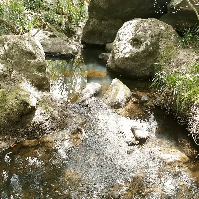 Bomaderry Creek Regional Park