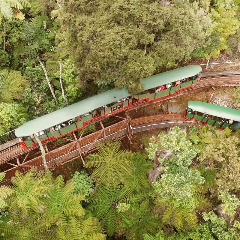 Driving Creek Railway Tours