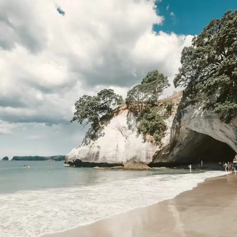 Te Whanganui A Hei Cathedral Cove Marine Reserve