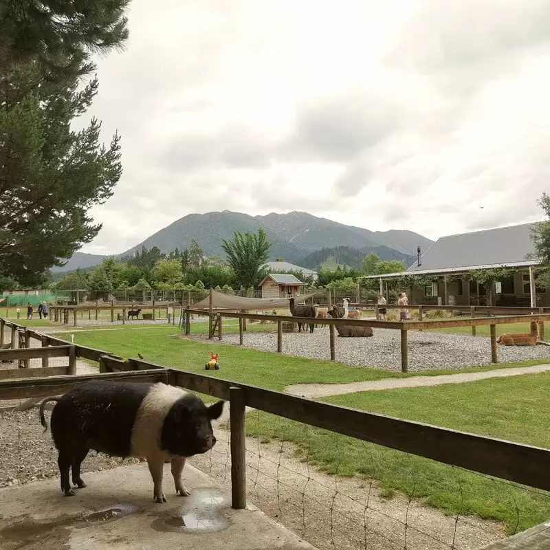 Hanmer Springs Animal Park