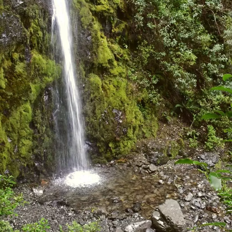 Dog Stream Waterfall