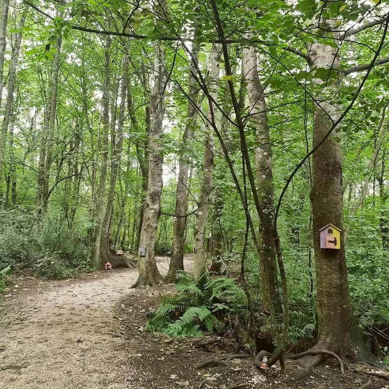 Fairy Door Walk