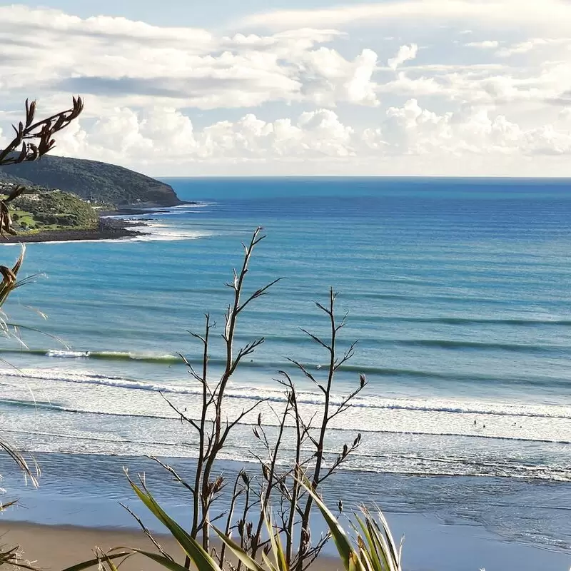 Michael Hope Lookout