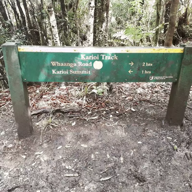 Karioi Summit Track