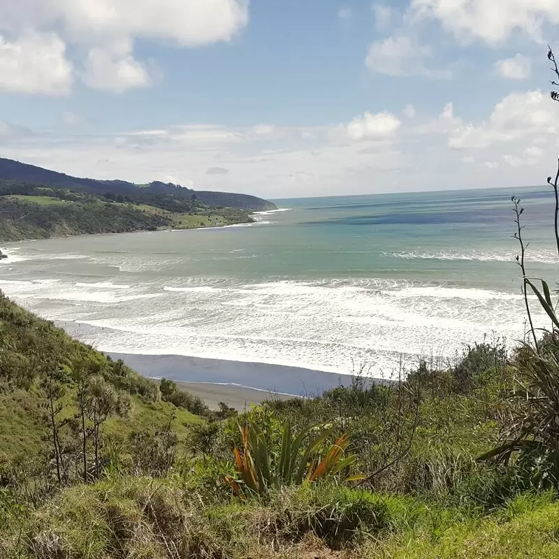 Wainui Reserve Bush Park