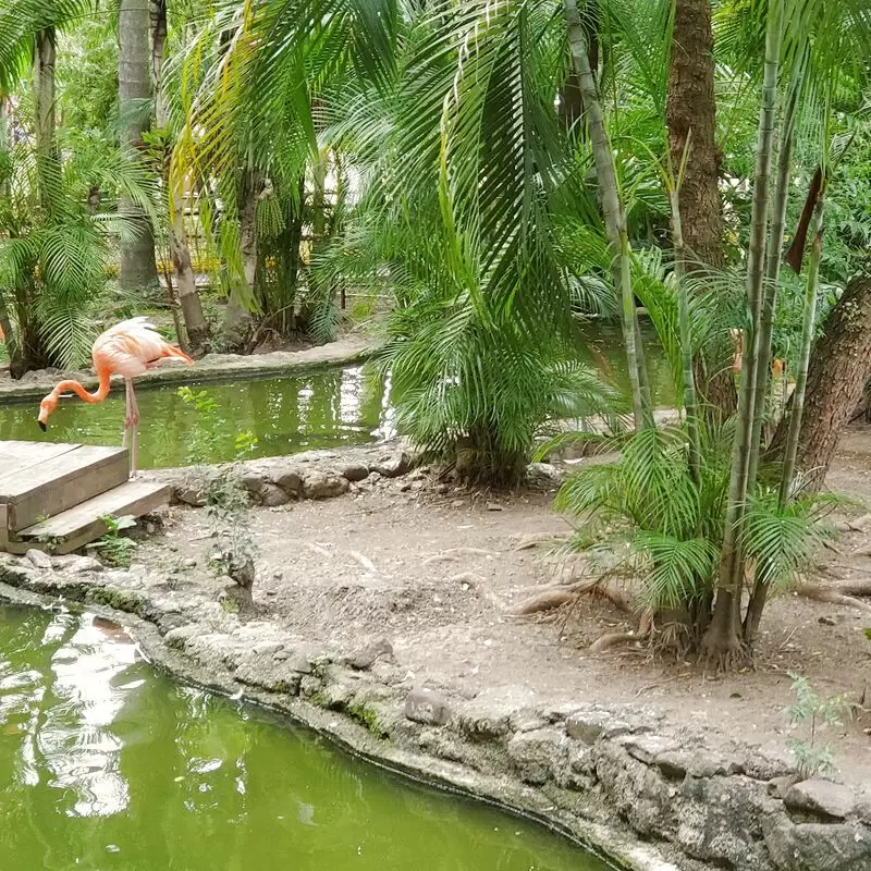 Hope Zoo Preservation Foundation