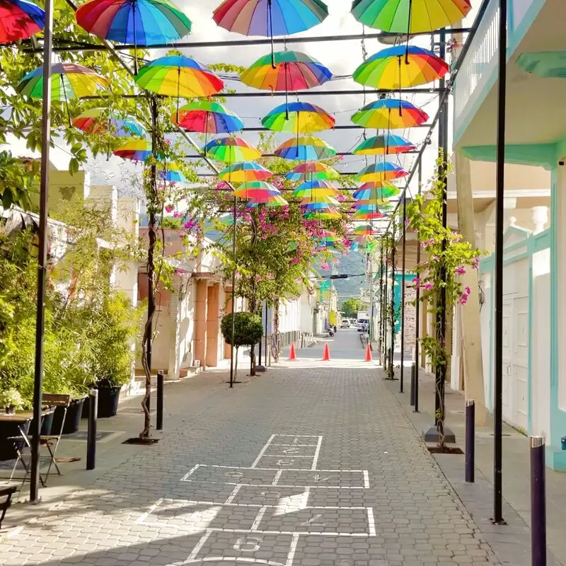 Umbrella Street