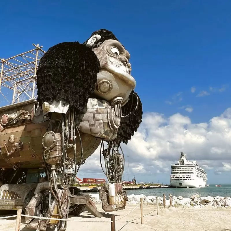 Taíno Bay Cruise Port