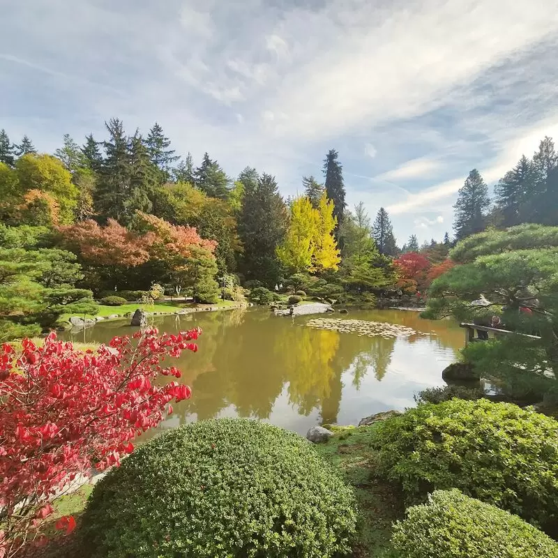 Washington Park Arboretum