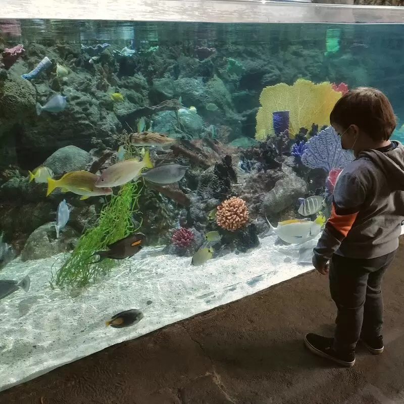 Point Defiance Zoo & Aquarium