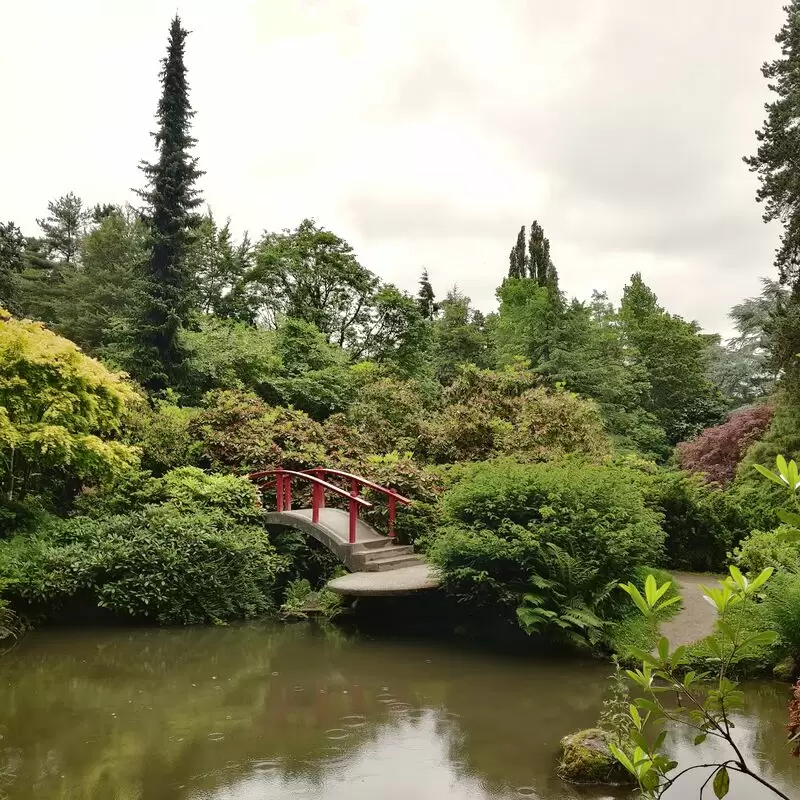 Kubota Garden