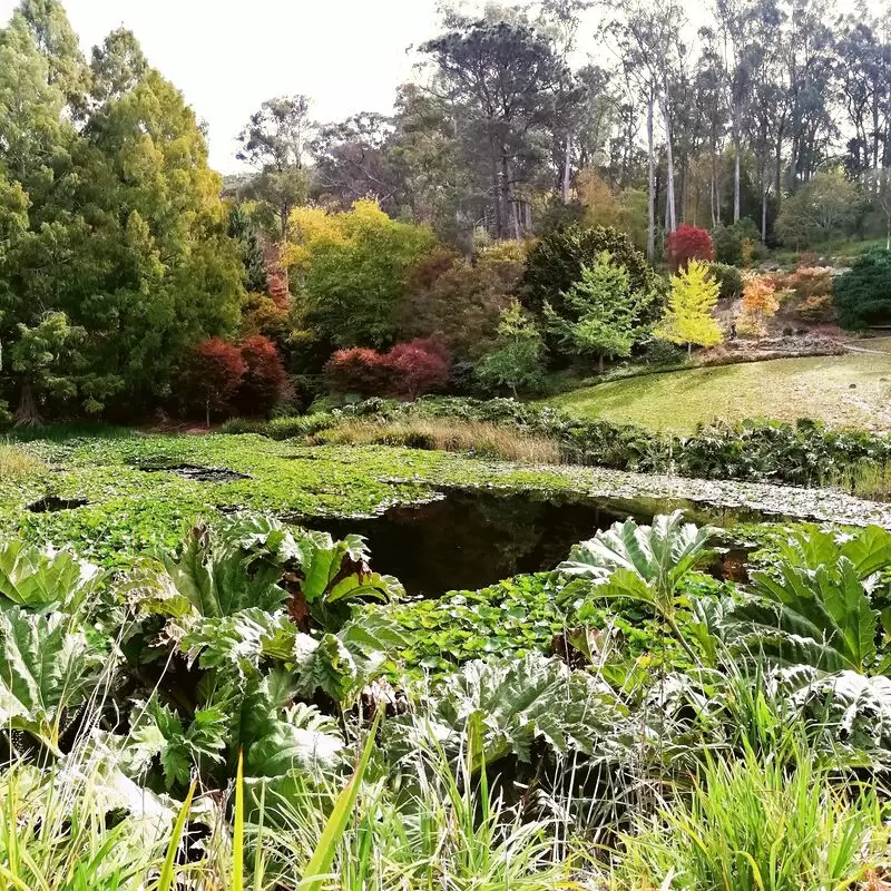 Mount Lofty Botanic Garden