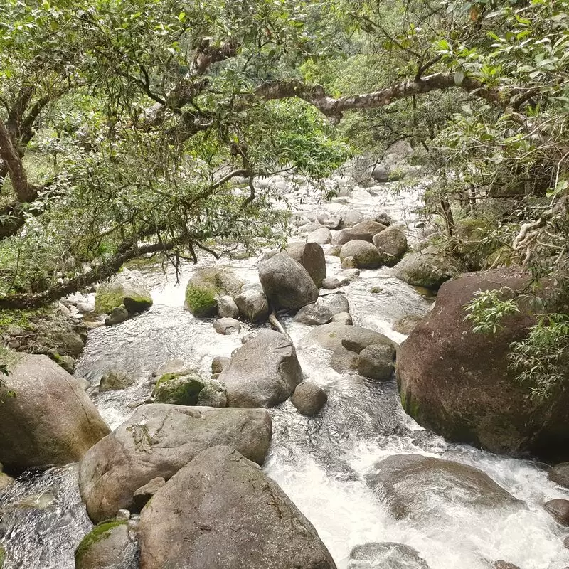 Mossman Gorge