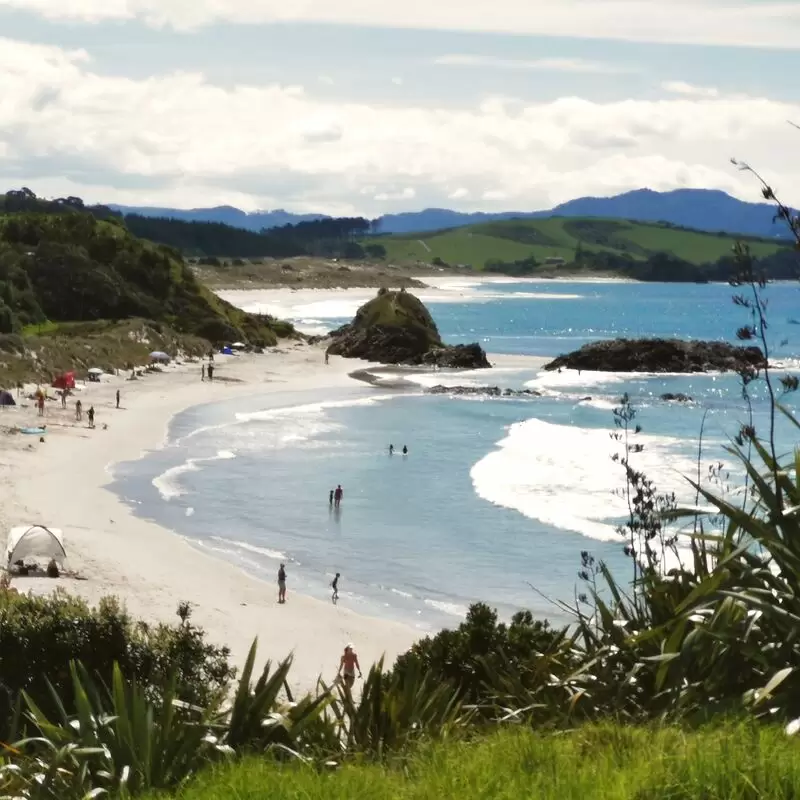 Tawharanui Regional Park