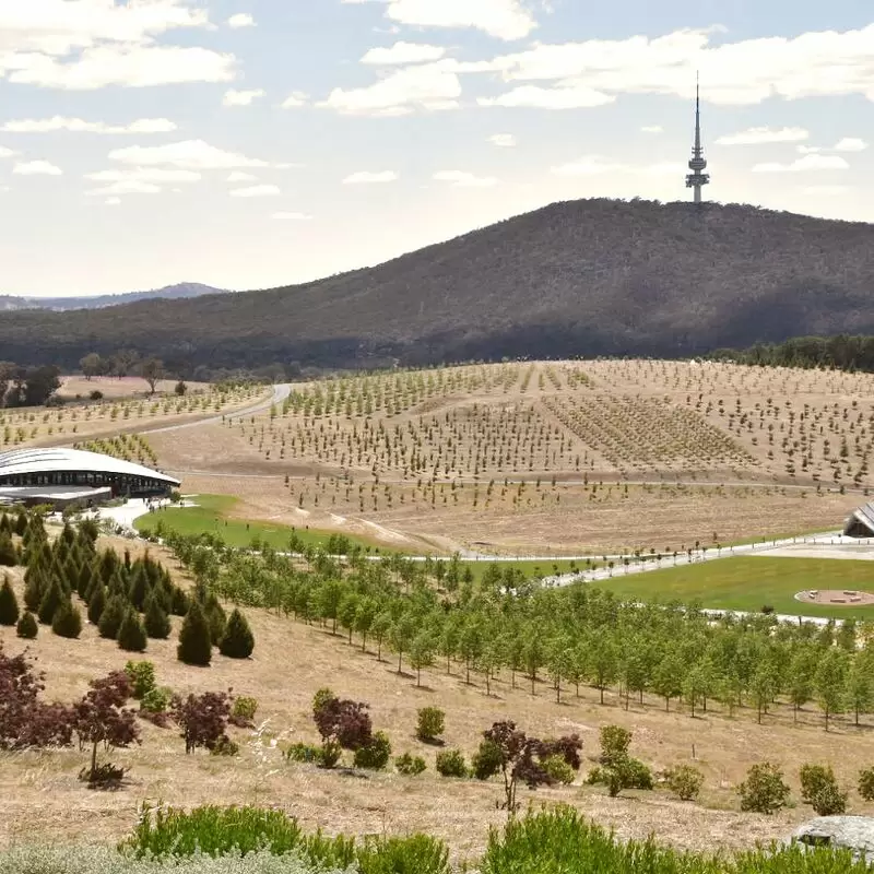 National Arboretum Canberra