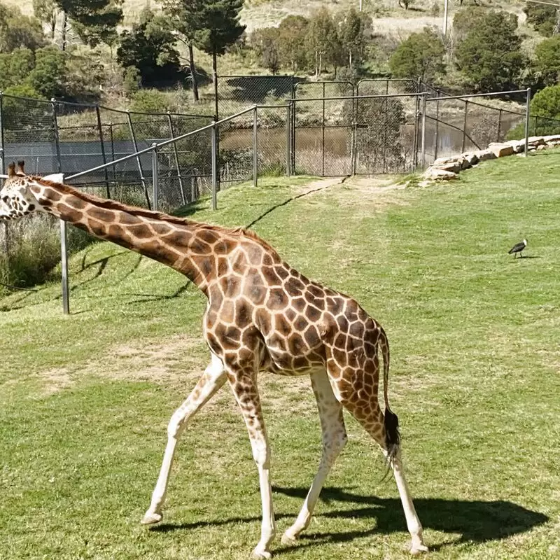 National Zoo & Aquarium