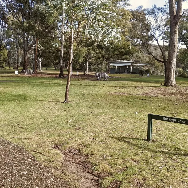 Australian National Botanic Gardens