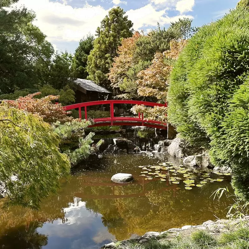 Royal Tasmanian Botanical Gardens