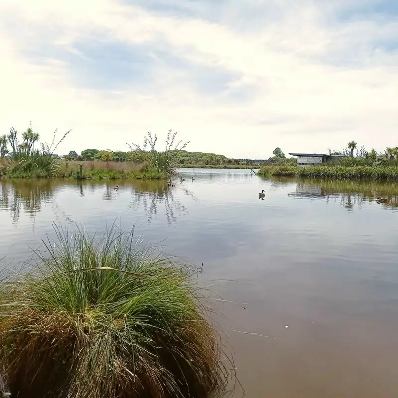 Travis Wetland Nature Heritage Park