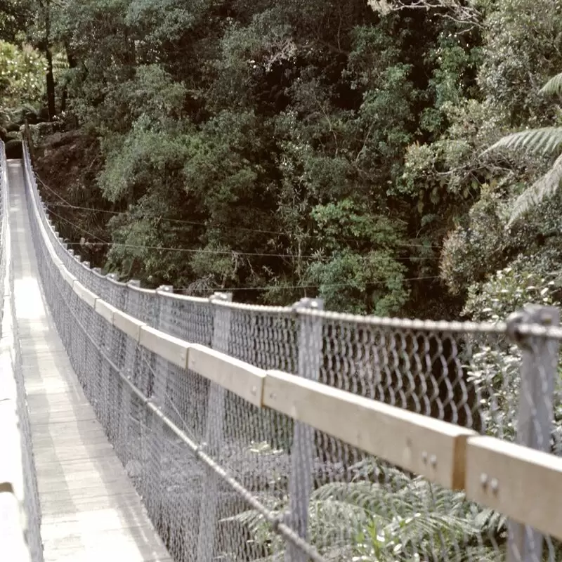 Kaitoke Regional Park