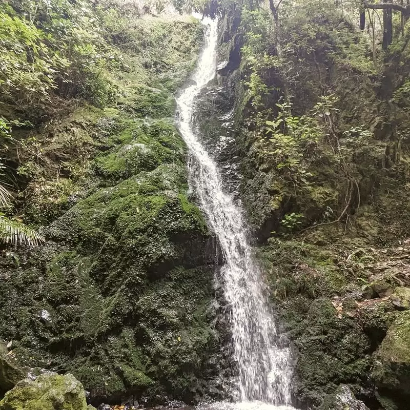 Percy Scenic Reserve