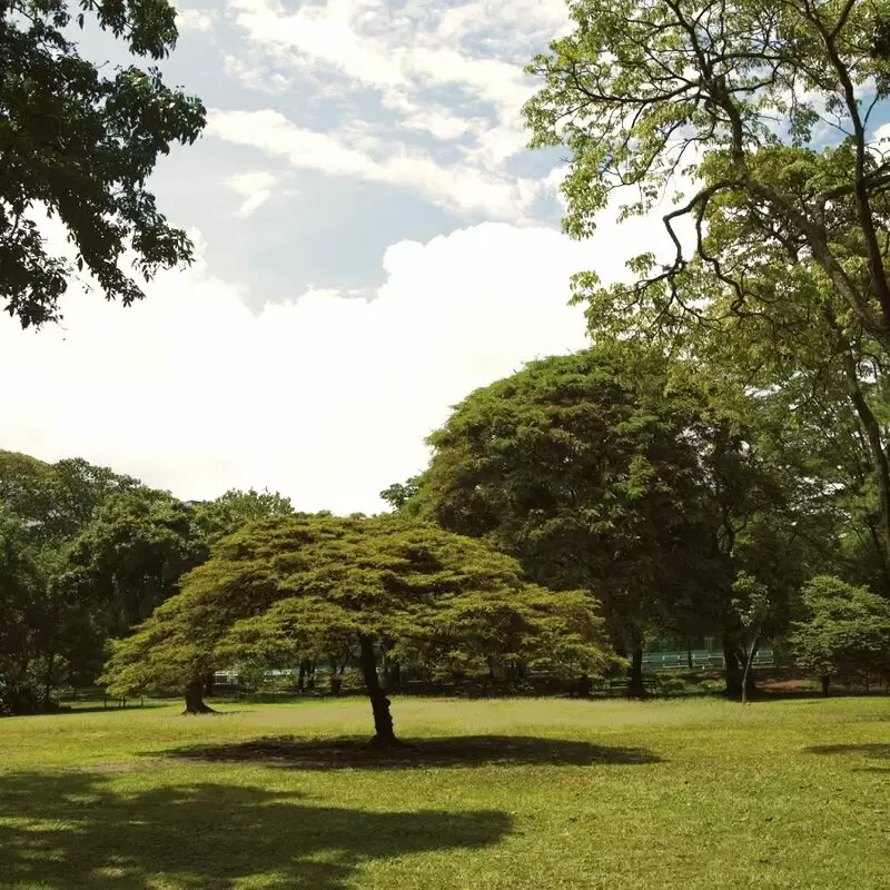 Jardín Botánico de Medellín