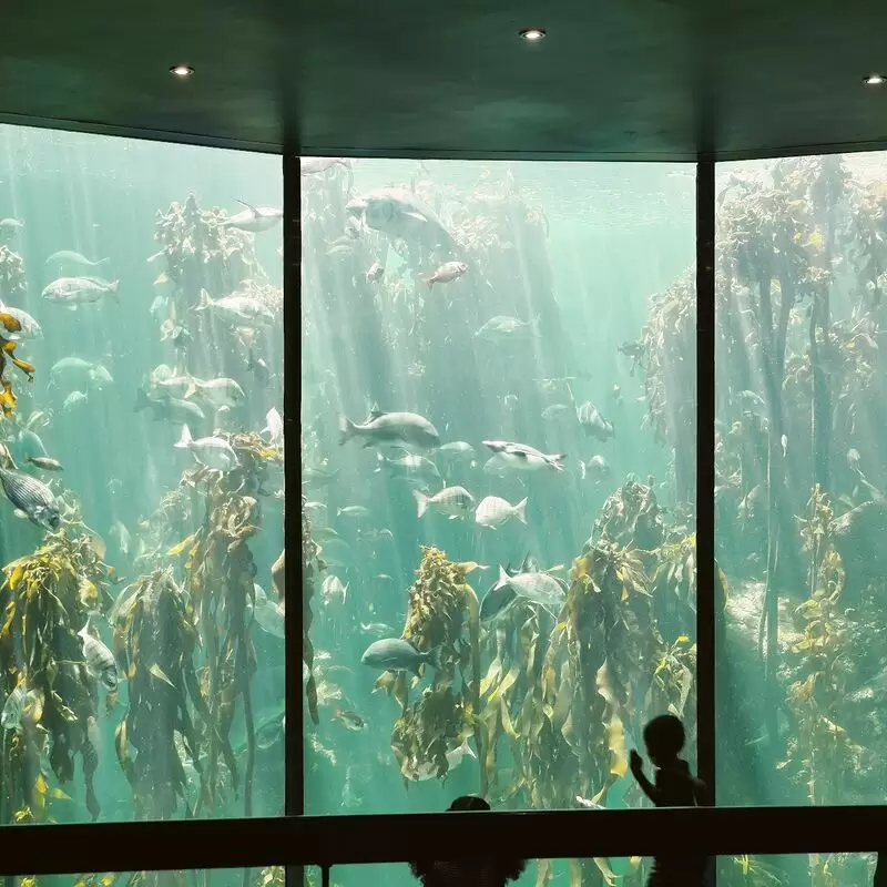 Two Oceans Aquarium