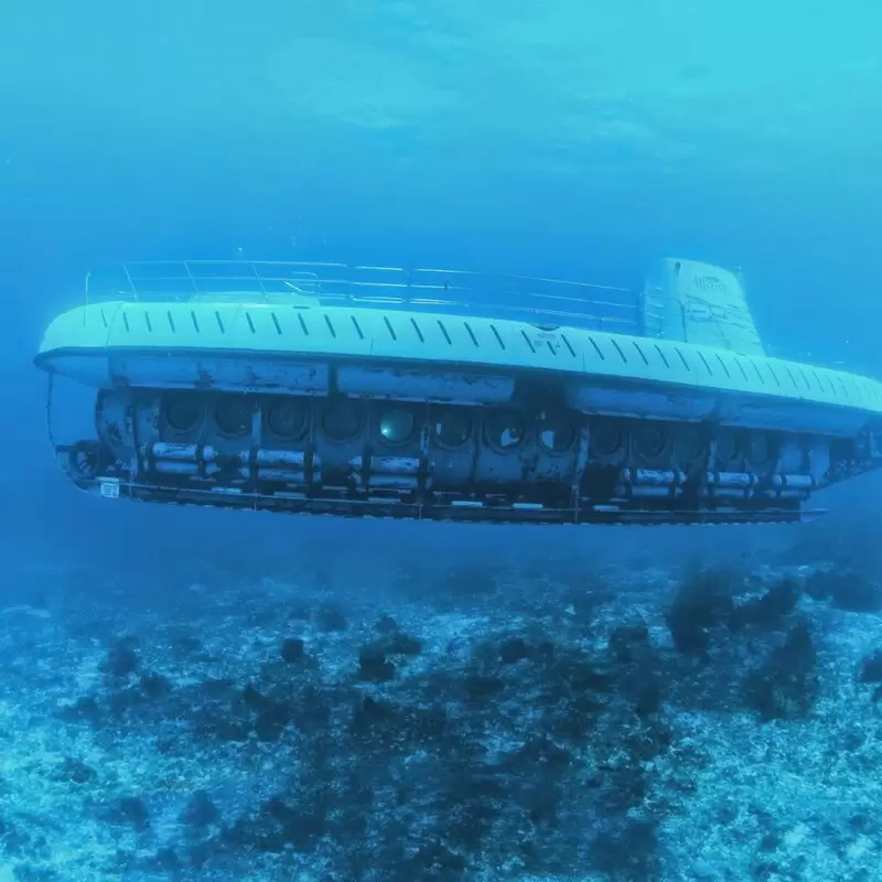 Atlantis Submarines Cozumel