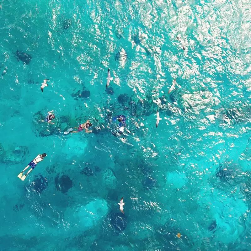 Stingray Beach Cozumel