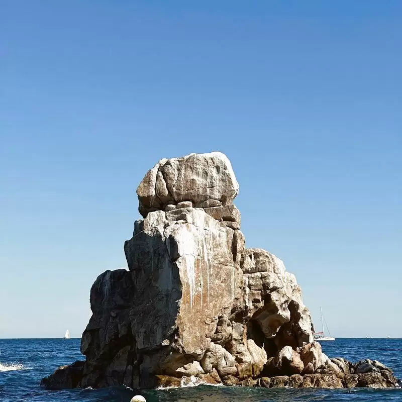 Pelican Rock