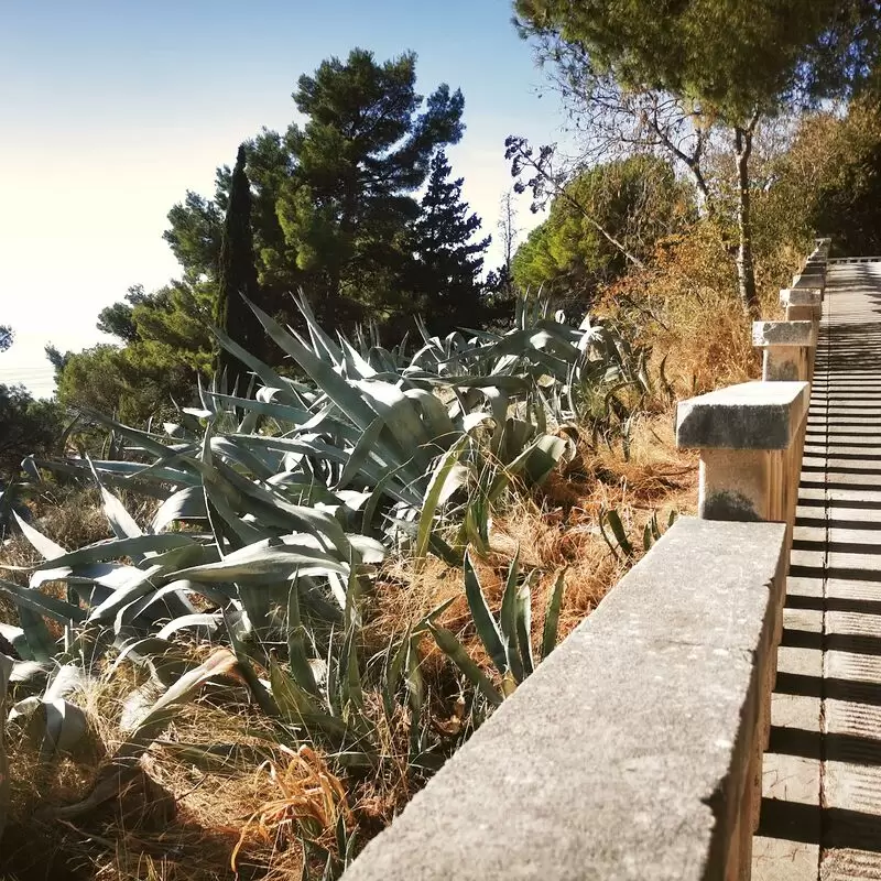 Marjan Hill Stairs